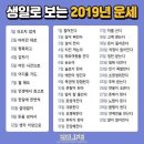 생일로 보는 2019년 운세 이미지