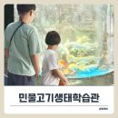 생태연못 | 양평 아이와 가볼만한곳 ‘민물고기생태학습관’ 추천! 주차료 및 관람료 무료.
