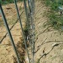 한동농장 이미지