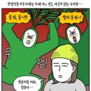 정도그린 이미지