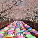 충장로446번길 이미지