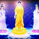 삼학 Daum카페