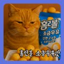 지에스25 남대문시장점 이미지