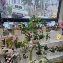 이마트24 수원호매실점 | 수원꽃배달 가능한 호매실꽃집 마루꽃 24시간 꽃바구니 꽃다발 주문 후기