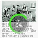 게바농장 이미지