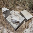 김주용농장 이미지