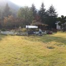 푸른정원펜션 이미지