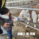 의령도서관 | 경남 의령 야베스팜 카페 목장 동물 먹이주기 진주 가족 체험