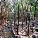 나무요양병원 이미지