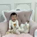 돌아기 벌스데이 스튜디오 솔직후기 [내돈내산 추천]