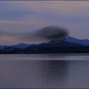 군무 2022-1 이미지