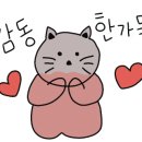 (주)에스쓰리알 이미지