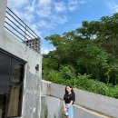 남해벚꽃길지나서 이미지