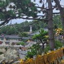 나무늘보호텔 이미지