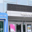 수지아르피아 이미지