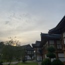 데이지밀
