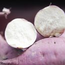 하영농장 이미지