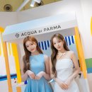 정세비 카카오 검색결과