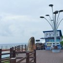 병곡2리 어촌계공동작업장 옆 | 경북 울진 등기산스카이워크+병곡항 아이와 가 볼 만한 곳