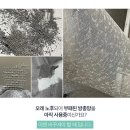 청년방충망강서점 이미지