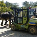 제일중기 이미지