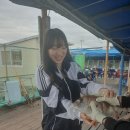 포유인포텍 이미지