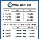 몽블리 애견카페 이미지