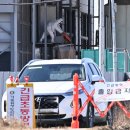 박영주농장 이미지