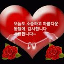 해와달옷수선 - 남원시 인월북2길 16 | 해와달옷수선