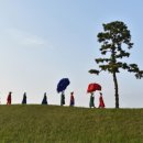 초정약수로 이미지