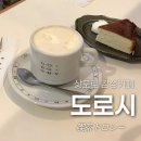 도로시 | 삿포로 카페추천 | 치즈케이크 맛집 🍰 도로시(DOROTHY)후기