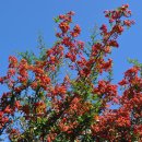 한덕농장 이미지