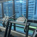 바이브먼트 이미지