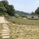 산마늘펜션 이미지