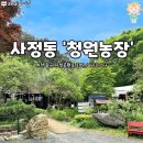 숲속으로 들어가면 펼쳐진다는 비밀의 보문산바베큐 &#39;청원농장&#39; 이미지