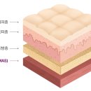 부산썬의원 이미지