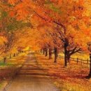 양덕동373 이미지