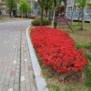 (주)신우엔지니어링 이미지