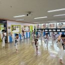 용인대중앙태권도장 이미지