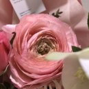 동덕유치원 이미지