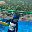 서가헌 한옥스테이 이미지