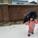 태백ㆍ박촌 어린이 박물관 ㆍ냉장고에서 응가하는모습ㆍ인천 눈 오는 날 이미지