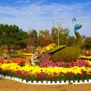 개나리공원4 이미지