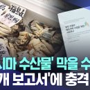 후쿠시마 비공개 보고서 이미지