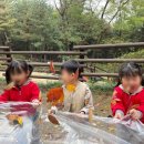 숲사랑어린이집 이미지