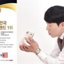 아이돌스 - 전주시 덕진구 견훤로 368 | 아이돌스