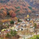 아트인아일랜드야영장 이미지