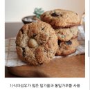 브레디어