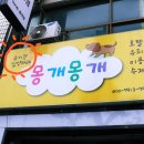 천사들의합창유치원 | [대전궁동애견카페l대전유성구애견카페] 몽개몽개 - 여자꼬시는 법