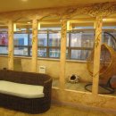 언제나고양이 이미지